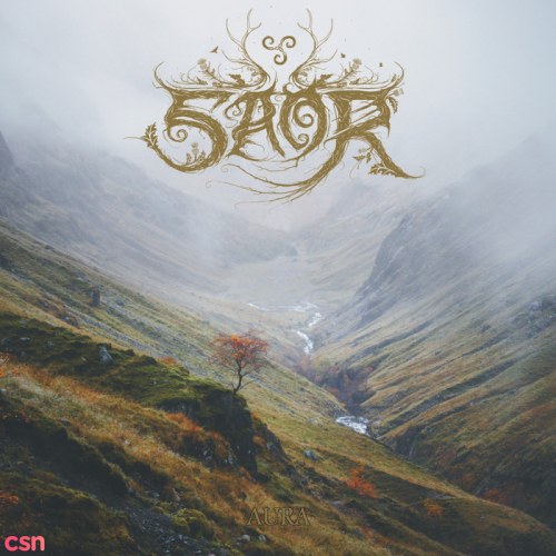 Saor