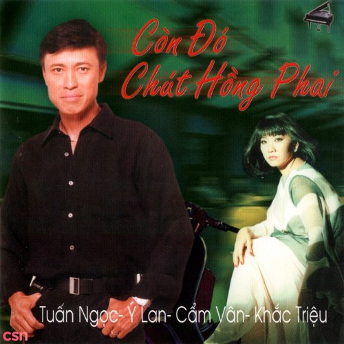 Cẩm Vân