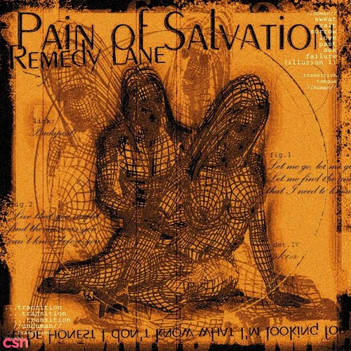 Pain Of Salvation