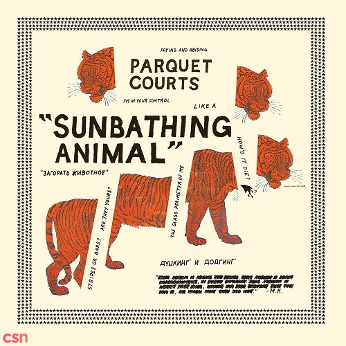 Parquet Courts