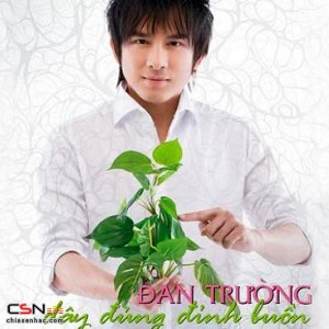 Đan Trường