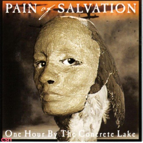 Pain Of Salvation