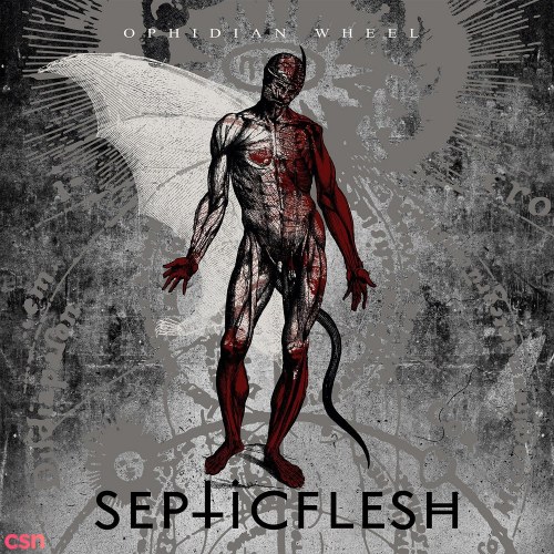 Septicflesh