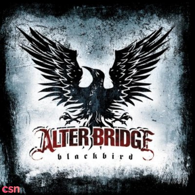 Alter Bridge