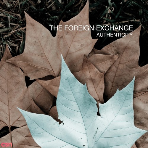 The Foreign Exchange