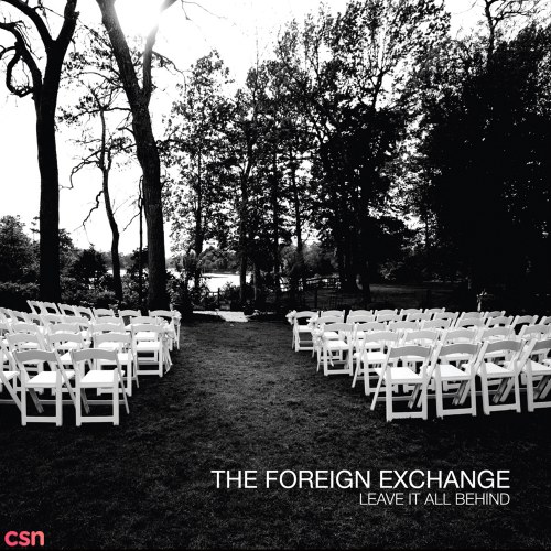 The Foreign Exchange