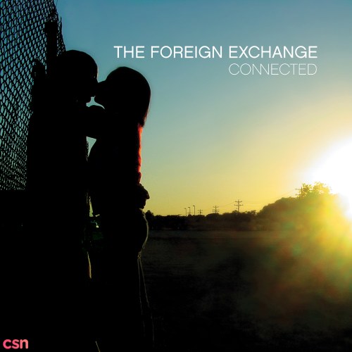 The Foreign Exchange