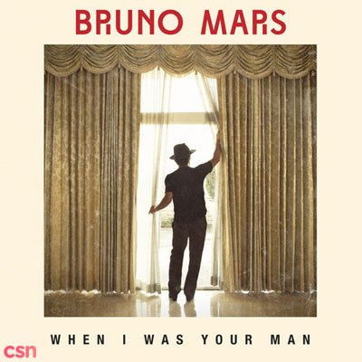 When I Was Your Man (German CD Single)