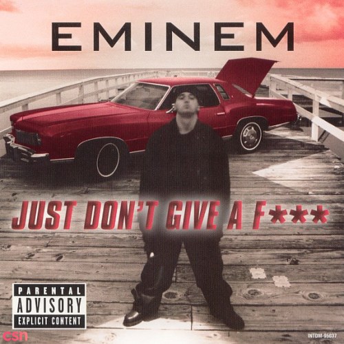 Just Don't Give A F*** (CD Single)