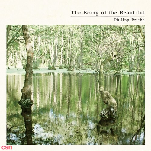 The Being Of The Beautiful