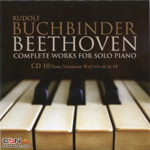 Beethoven: Complete Works For Solo Piano (CD10)