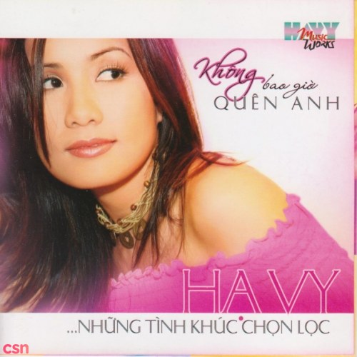 Không Bao Giờ Quên Anh