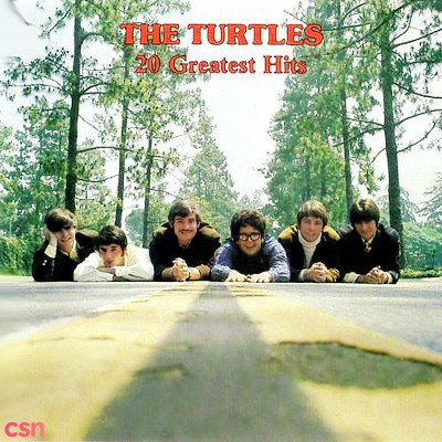 The Turtles