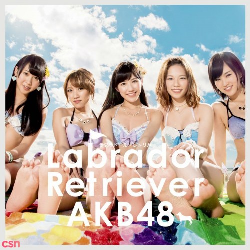 Labrador Retriever  (ラブラドール・レトリバー) (AKB48 36th Single)