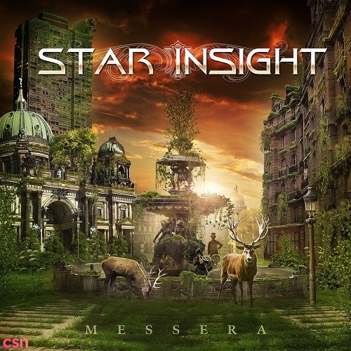 Star Insight