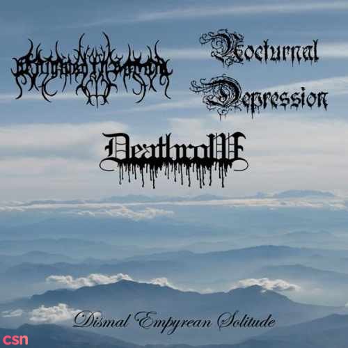 Dismal Empyrean Solitude (Spllit)