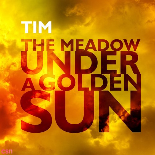 The Meadow Under A Golden Sun