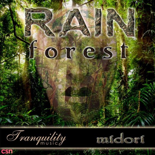 Rainforest