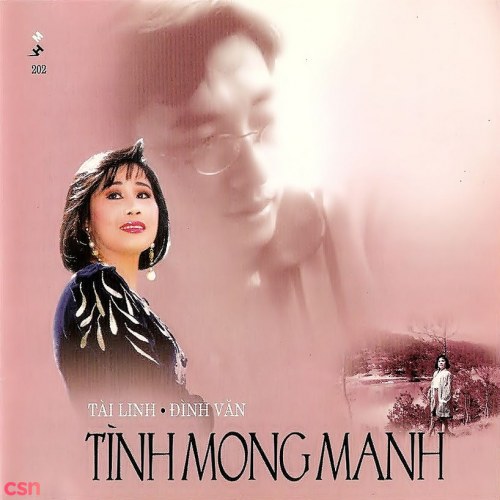 Tình Mong Manh