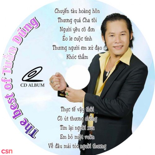 Album The Best Of Tuấn Dũng