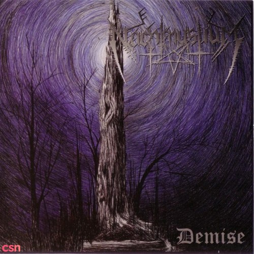 Demise