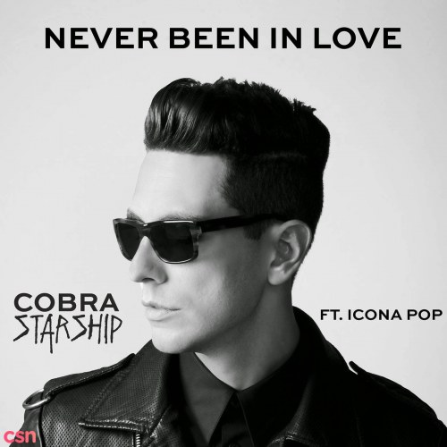 Never Been In Love (Single)