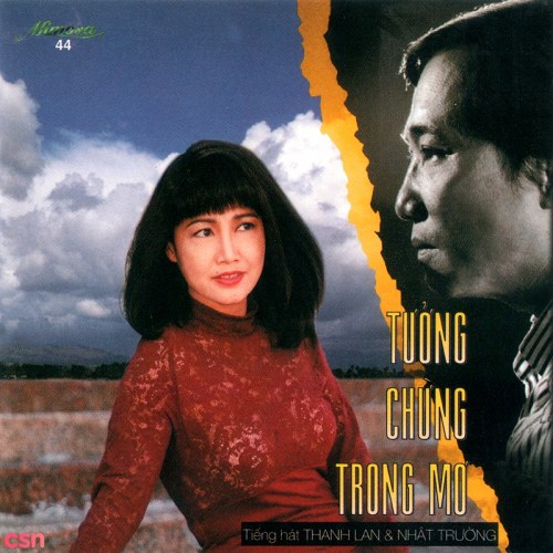 Tưởng Chừng Trong Mơ