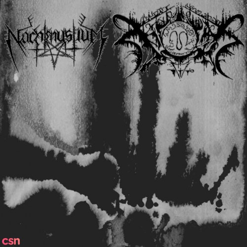 Nachtmystium