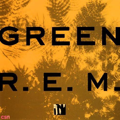 R.E.M.