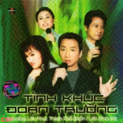 Trường Vũ