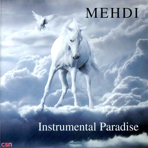 Vol.8 Instrumental Paradise