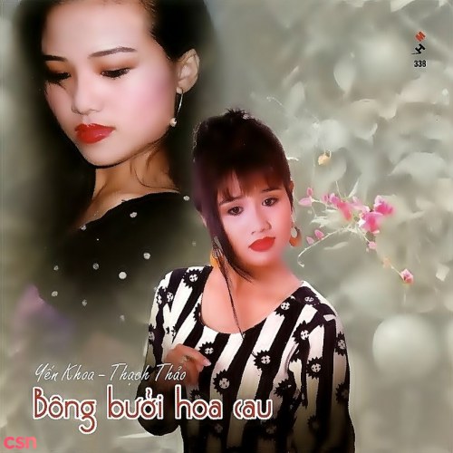 Bông Bưởi Hoa Cau