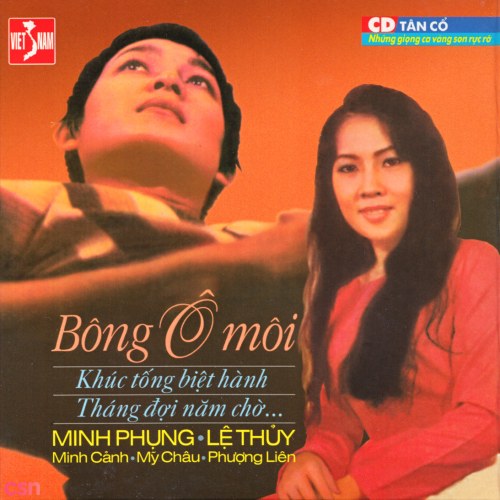 Tân Cổ - Bông Ô Môi (Pre 75)