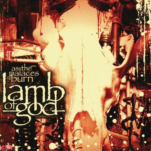 Lamb Of God