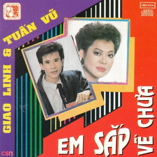 Tuấn Vũ