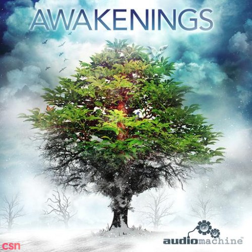 Awakenings