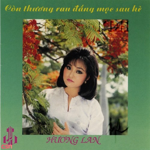 Còn Thương Rau Đắng Mọc Sau Hè