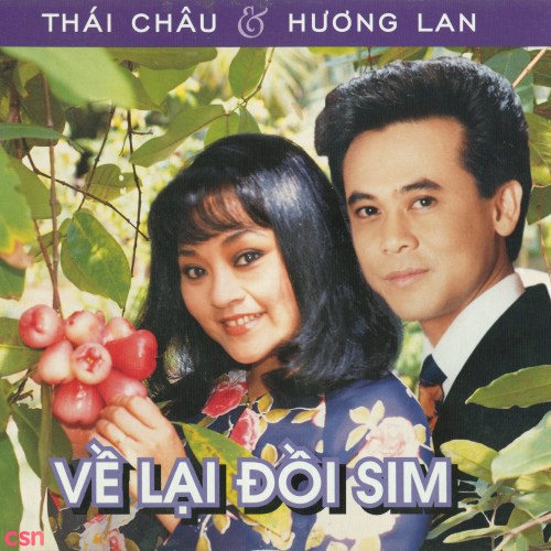 Về Lại Đồi Sim