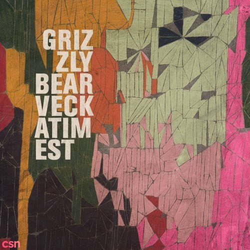 Grizzly Bear