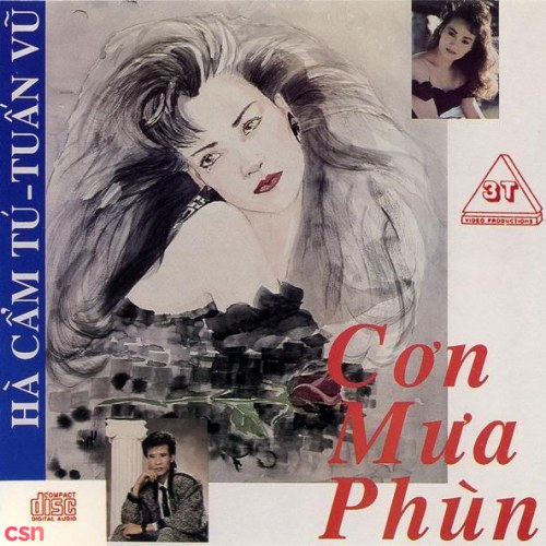 Cơn Mưa Phùn