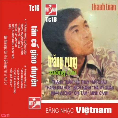 Tân Cổ Giao Duyên 16 - Trăng Rụng Xuống Cầu (Pre 75)