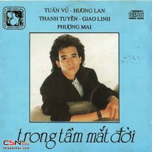 Trong Tầm Mắt Đời