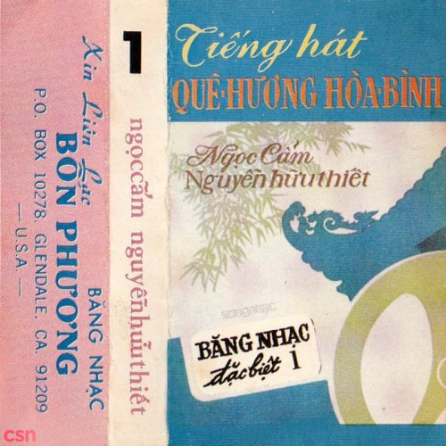 Nguyễn Hữu Thiết