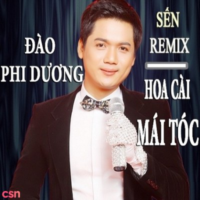 Hoa Cài Mái Tóc (Sến Remix)