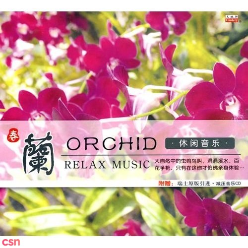 Relax Music: Xuân - Orchid