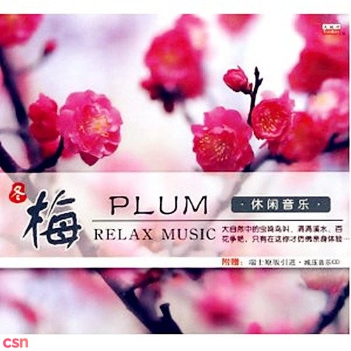 Relax Music: Đông - Plum