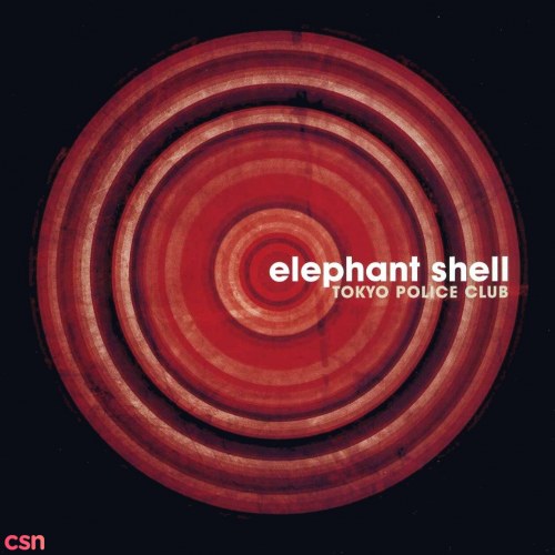 Elephant Shell