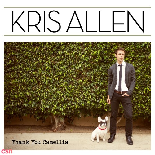 Kris Allen