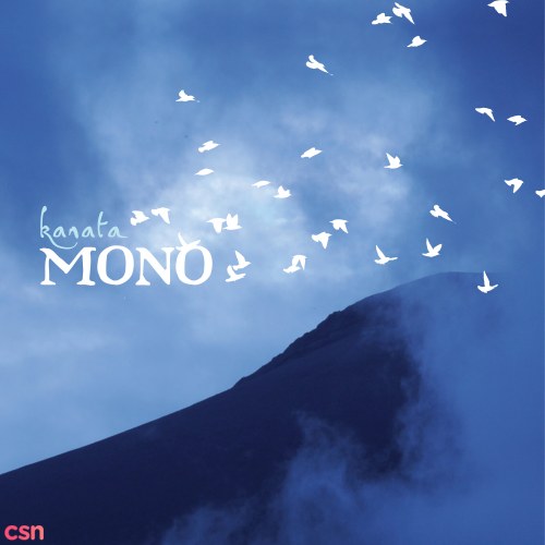 Mono