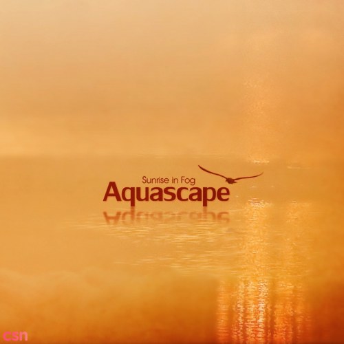 Aquascape